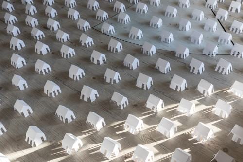 Katarzyna Bogusz 24/7