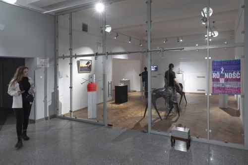 Równość_Różność_pl. Polski