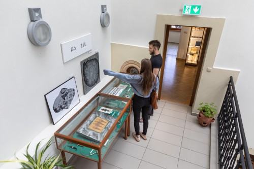 Istota rzeczy / 8. Festiwal Malarstwa