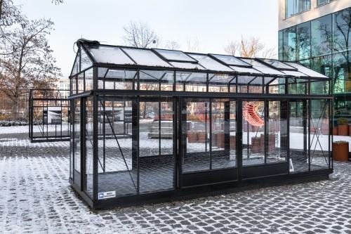 Kamila Mróz - Mrzonka