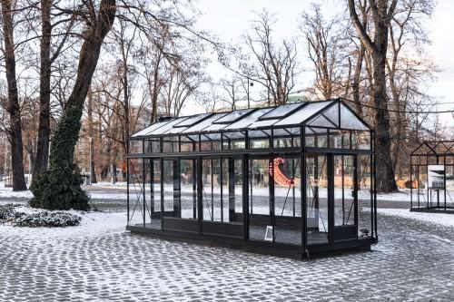 Kamila Mróz - Mrzonka