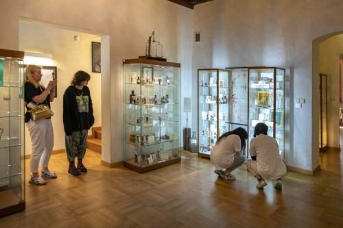 Iluminacja_oprowadzanie kuratorskie