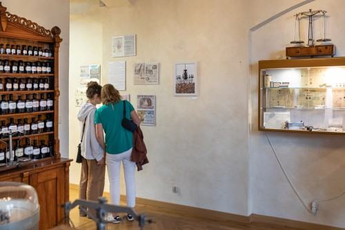 Iluminacja_oprowadzanie kuratorskie