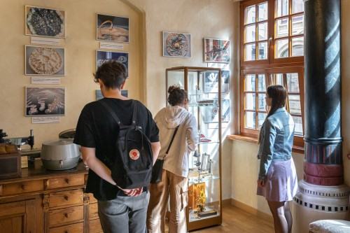 Iluminacja_oprowadzanie kuratorskie