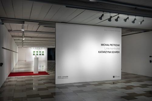 Michał Pietrzak i Katarzyna Szarek | Linie kontrolne