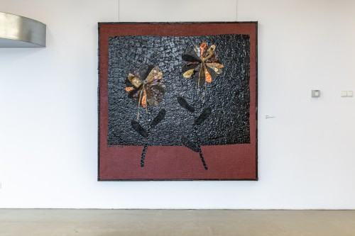 Tomasz Domański - Kolekcjoner