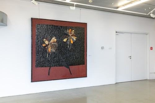 Tomasz Domański - Kolekcjoner