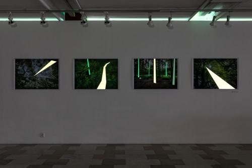 Michał Pietrzak i Katarzyna Szarek | Linie kontrolne