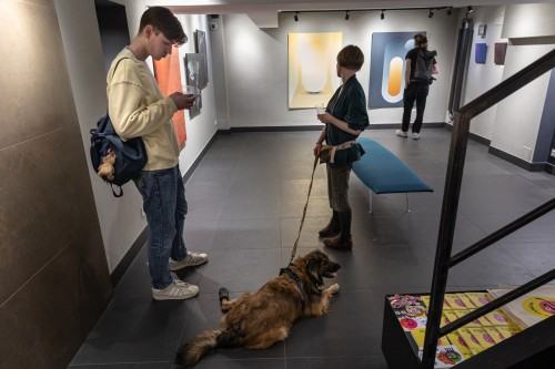 Festiwal Malarstwa_galeria Vivid, Check in-wernisaż