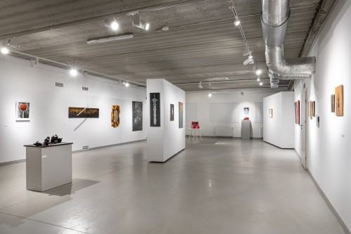 Wizja lokalna / 9. Festiwal Malarstwa