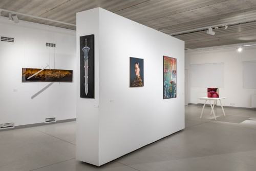 Wizja lokalna / 9. Festiwal Malarstwa