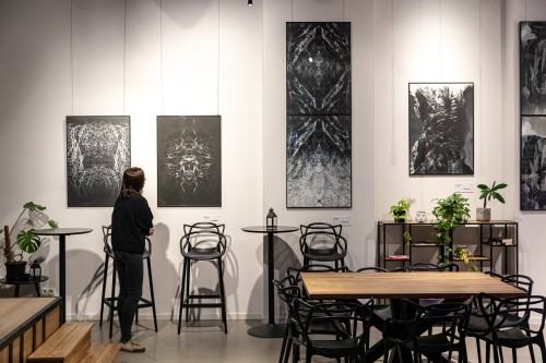 Anna Kodź, Zakorzenione_wernisaz