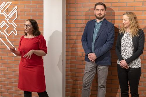 Odchylenia, wariacje, przegięcia