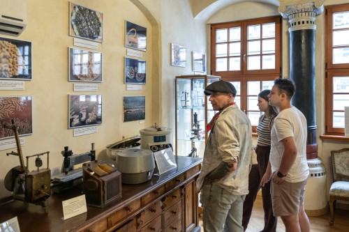 Iluminacja_wernisaż