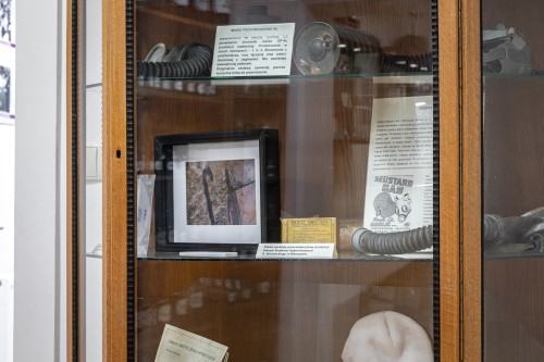 Międzynarodowa wystawa w Muzeum Literatury Litewskiej Maironisa w Kownie.