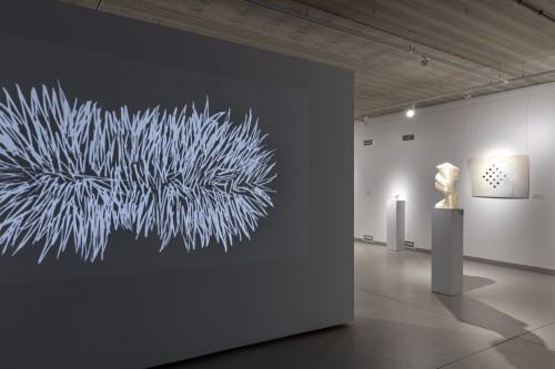 Dowody na Nie/Obecność