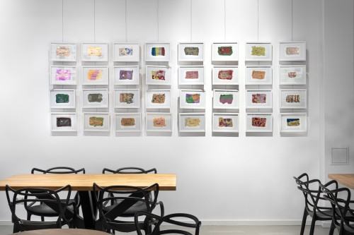 Joanna Jamrozińska Golden Card