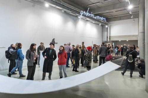 Katarzyna Szarek, Fundament