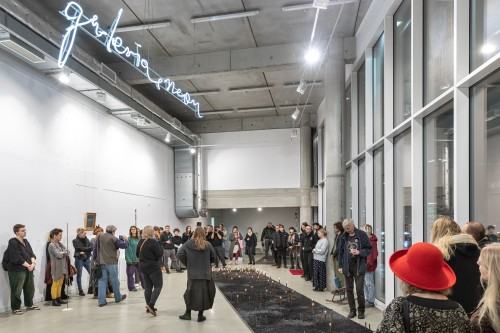 Katarzyna Szarek, Fundament