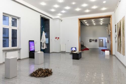 Mediacja Sztuki Najlepsze Dyplomy 2022