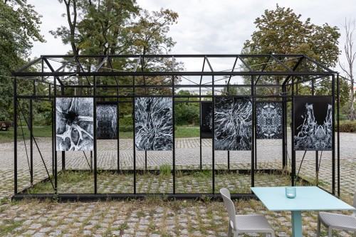 Anna Kodź_Black Frame