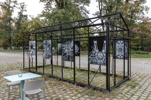 Anna Kodź_Black Frame