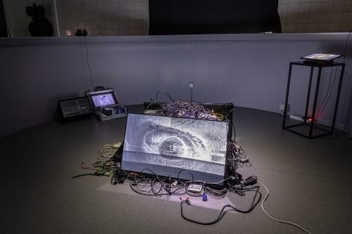 Embryogallery. Martwa przyszłość