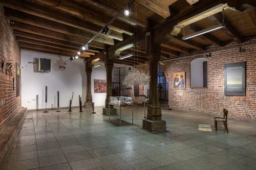 Dokumentacja wystawy Oswojeni