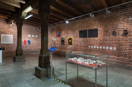 Dokumentacja wystawy Oswojeni