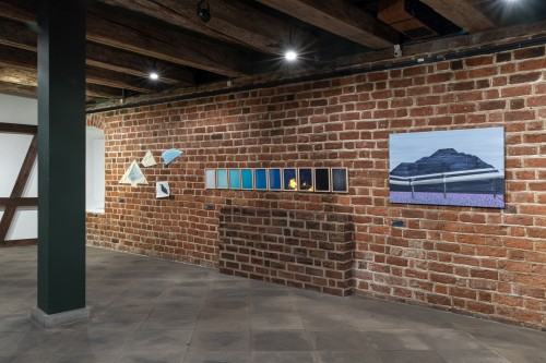 Dokumentacja wystawy Oswojeni