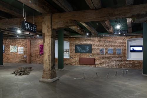 Dokumentacja wystawy Oswojeni