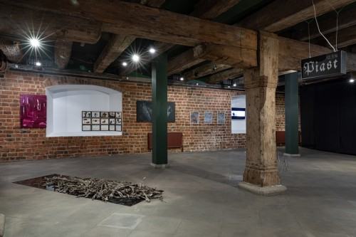 Dokumentacja wystawy Oswojeni