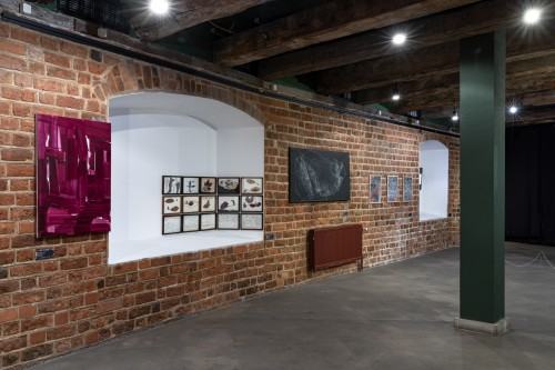 Dokumentacja wystawy Oswojeni