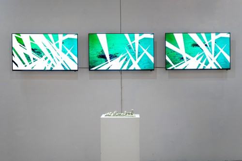 Michał Pietrzak Terytoria