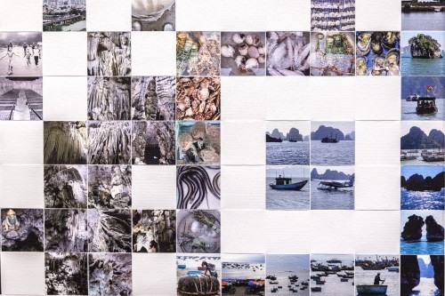 Kod USG_galeria Geppart