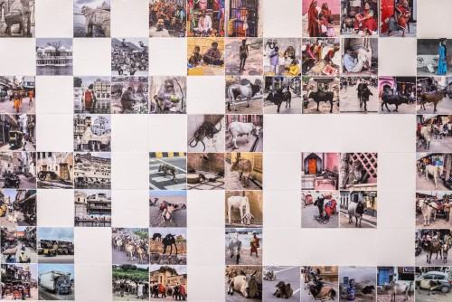 Kod USG_galeria Geppart