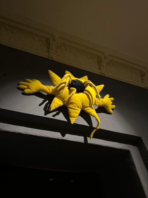 Patrycja Mastej In The Sun