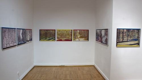 Fotorelacja.Nieoczywistość rzeczy – wystawa Jacka Dłużewskiego