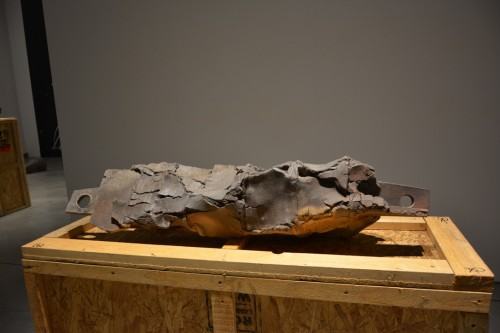 Z ziemi i ognia / Michał Puszczyński