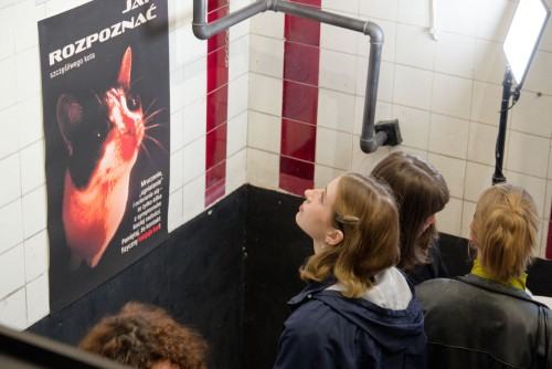 WERNISAŻ WYSTAWY WELART 2026 - FOTORELACJA