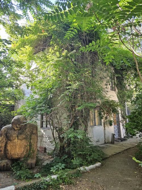 A line is more than a sign