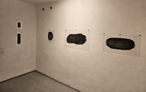 A line is more than a sign