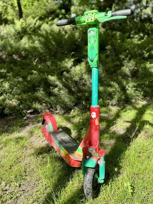 Aleksandra Blazewicz