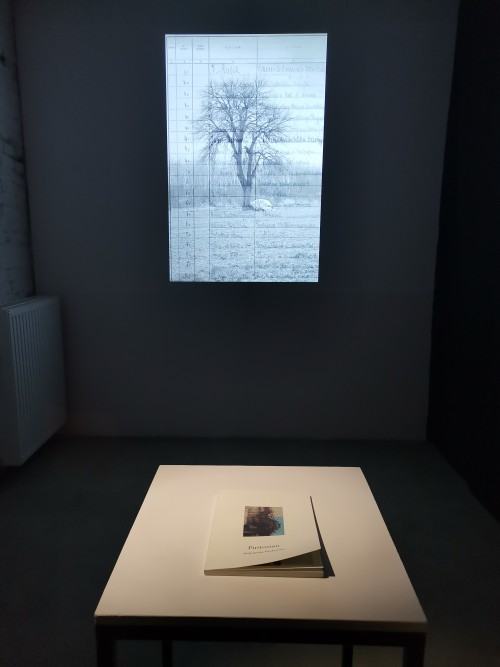 Wystawa Sztuka Przejścia’22. aleksandra-pawlowska