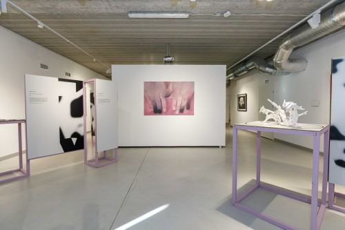 Stany wyjątkowe_Geppart