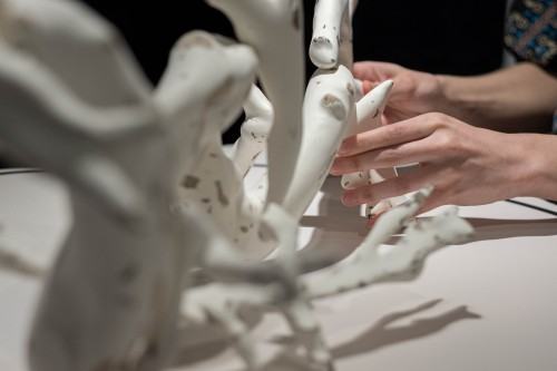 Stany wyjątkowe_Geppart