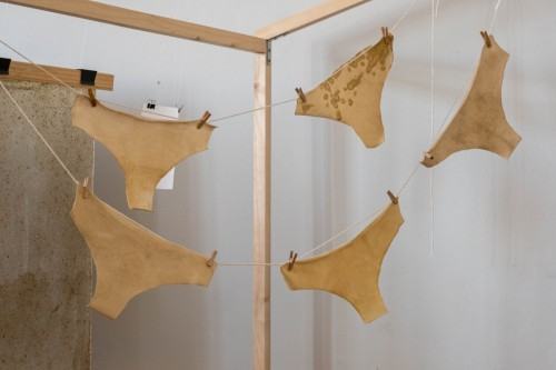 Stany wyjątkowe_Aula