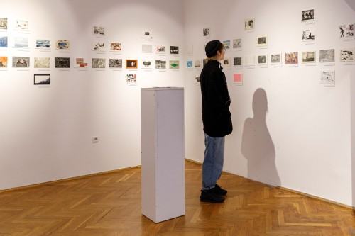 Oprowadzanie po wystawie Migracja, zdj. Katerina Kouzmitcheva