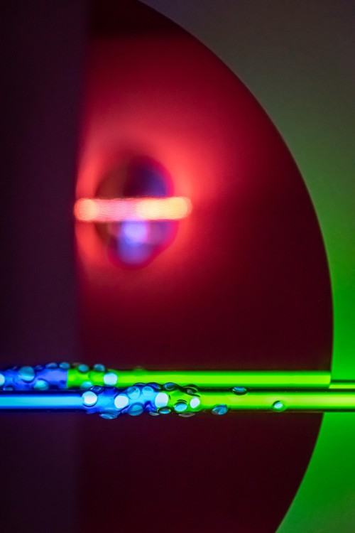 Egzystencja rozrzedzona