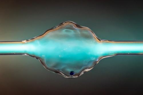 Egzystencja rozrzedzona